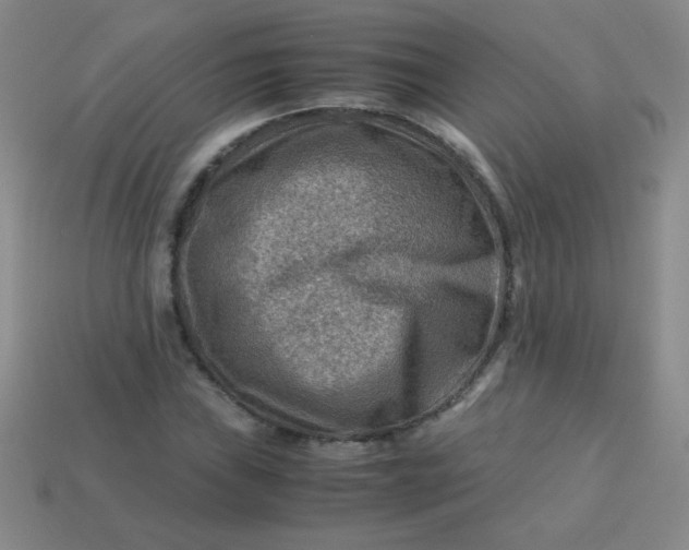 X0000113591019200910091455