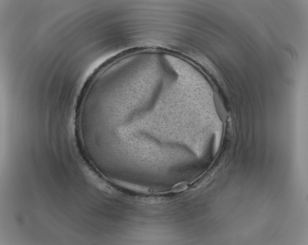 X0000113591020200910091455