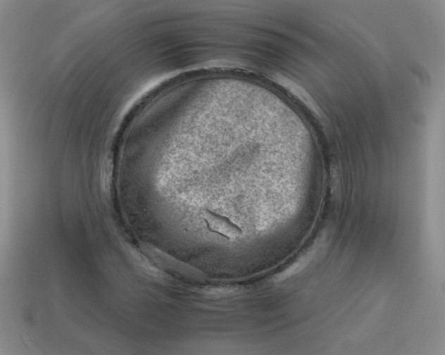 X0000113591021200910091455