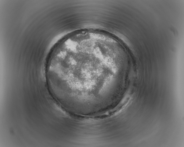 X0000113591022200910091455