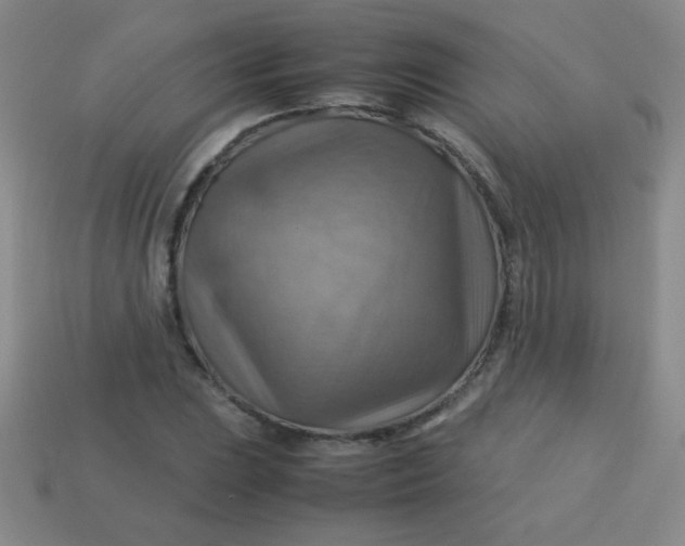 X0000113591023200910091455