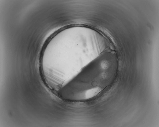 X0000113591024200910091455