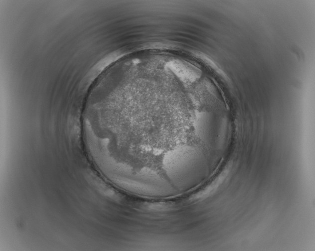 X0000113591025200910091455