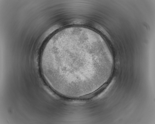 X0000113591026200910091455