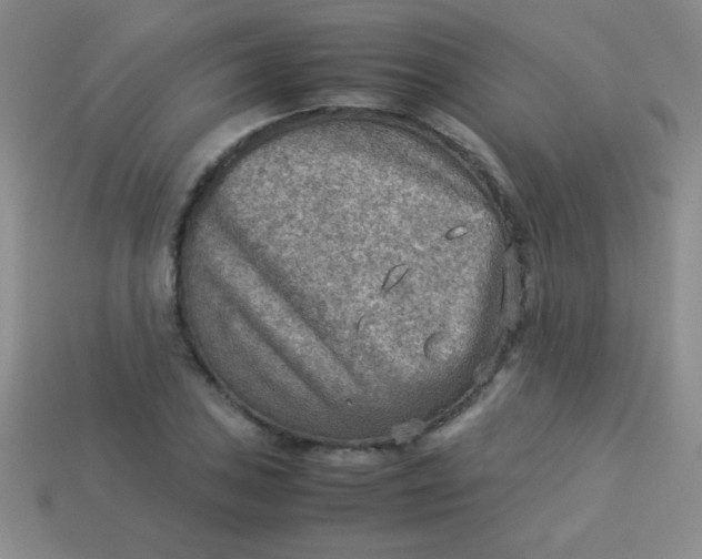 X0000113591027200910091455