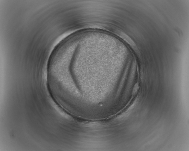 X0000113591028200910091455