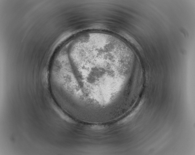 X0000113591029200910091455