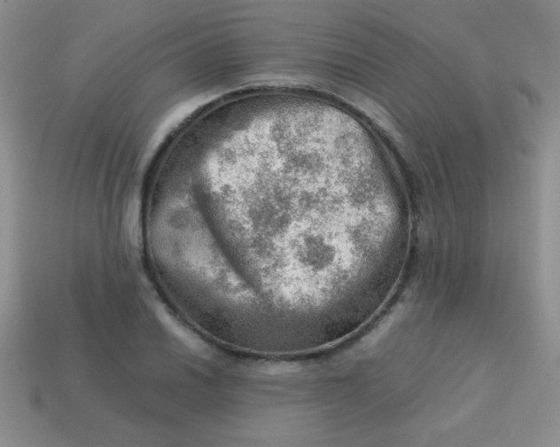 X0000113591030200910091455