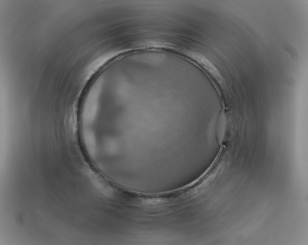 X0000113591031200910091455