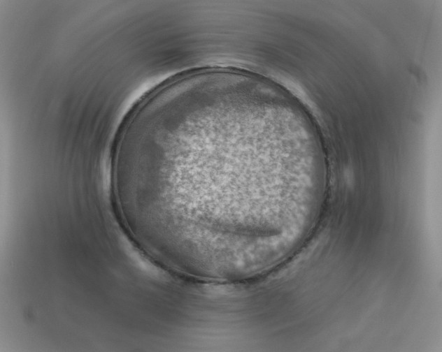 X0000113591032200910091455