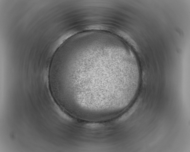 X0000113591033200910091455