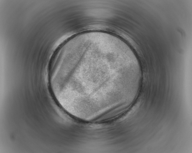 X0000113591034200910091455