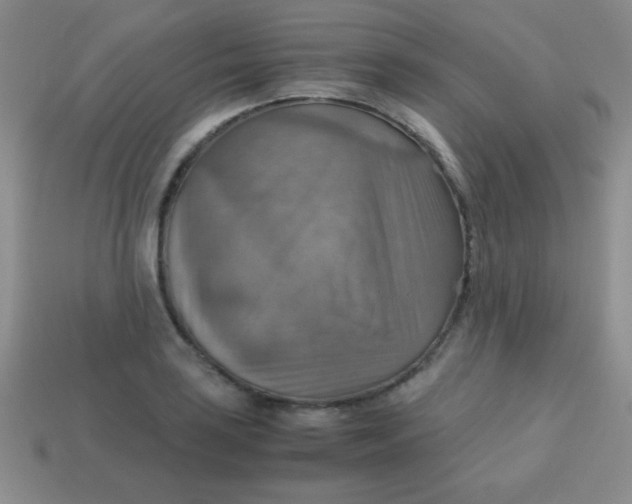 X0000113591035200910091455