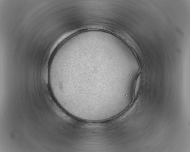 X0000113591036200910091455