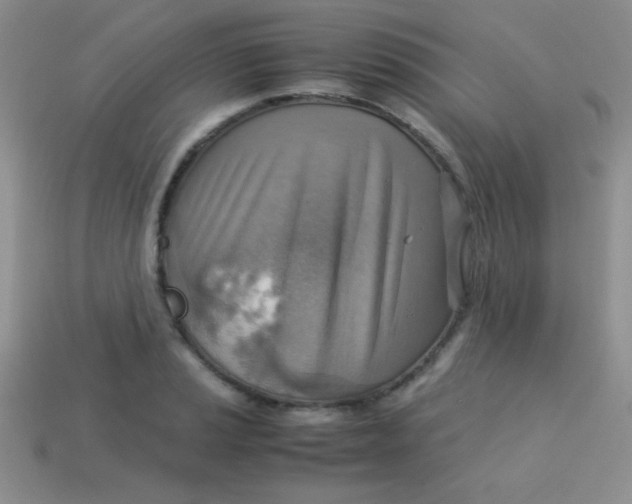 X0000113591037200910091455