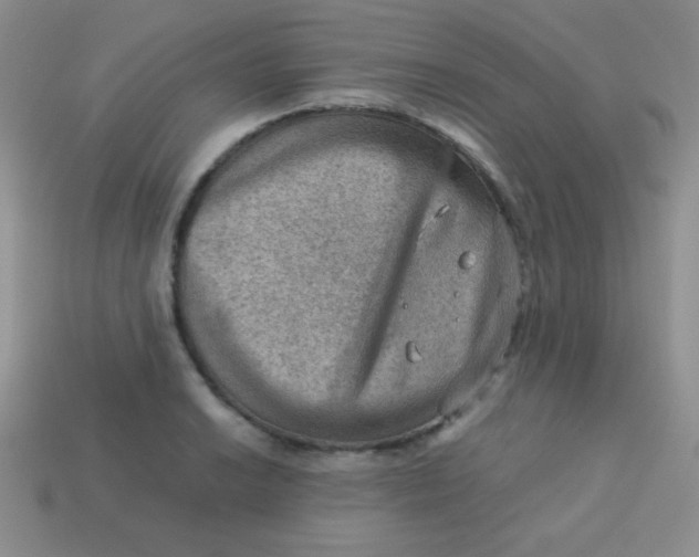 X0000113591038200910091455