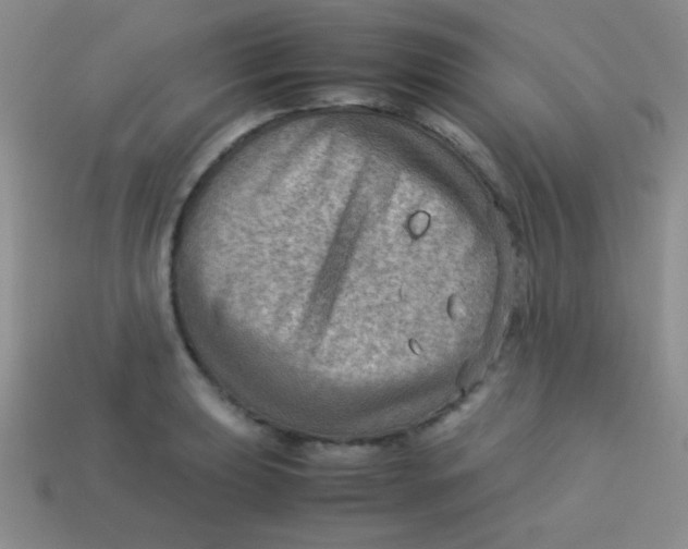 X0000113591039200910091455