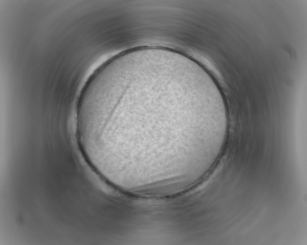 X0000113591040200910091455