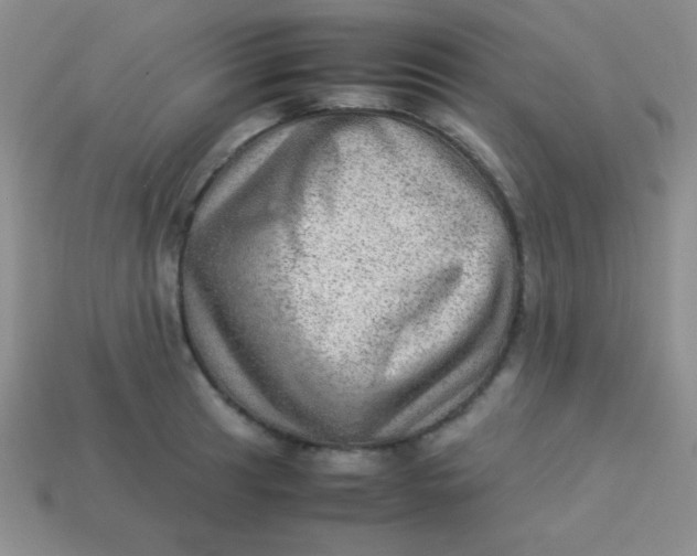 X0000113591041200910091455