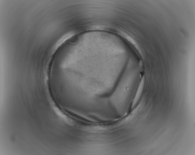 X0000113591042200910091455