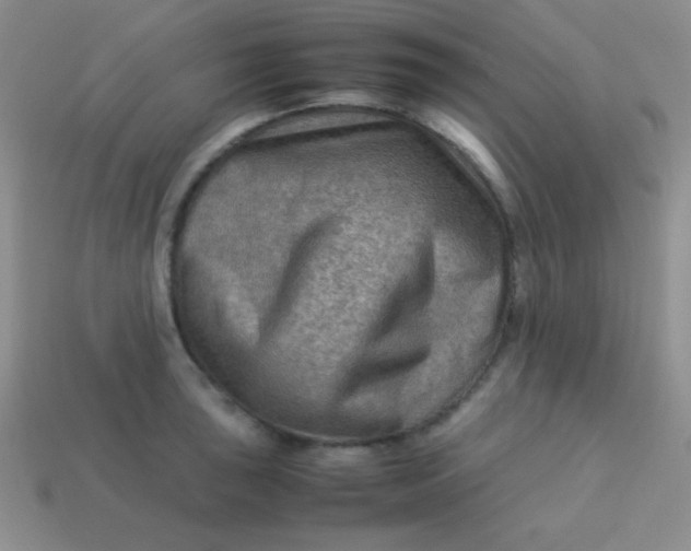 X0000113591043200910091455