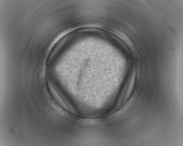 X0000113591044200910091455