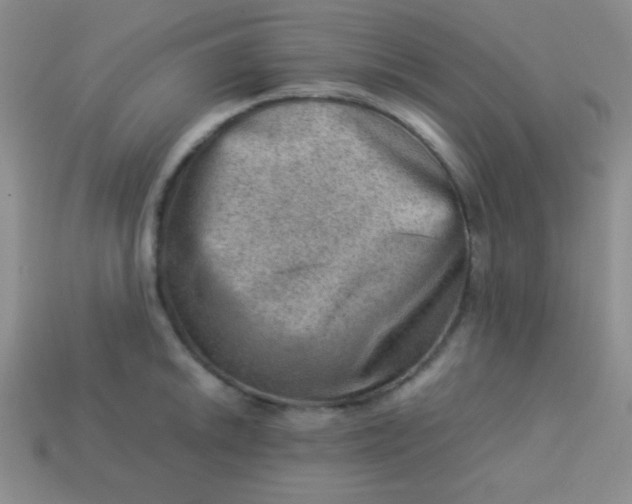 X0000113591046200910091455