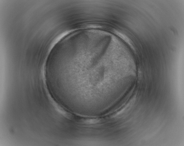 X0000113591047200910091455