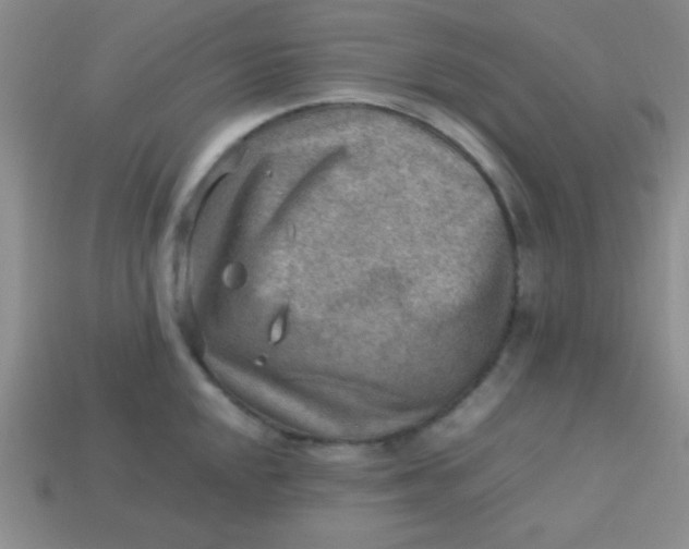 X0000113591048200910091455