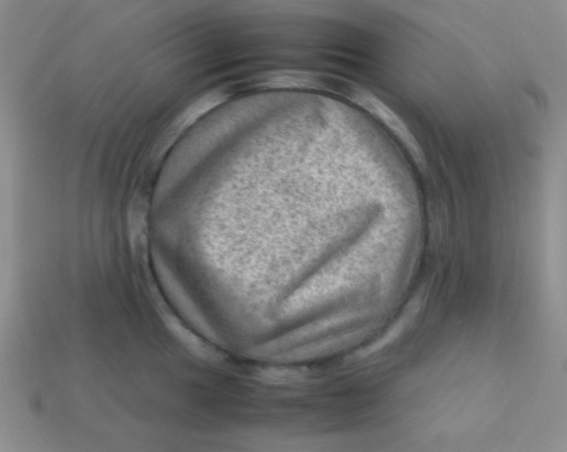 X0000113591049200910091455