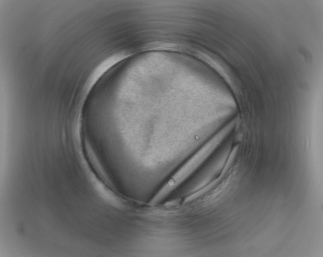 X0000113591050200910091455