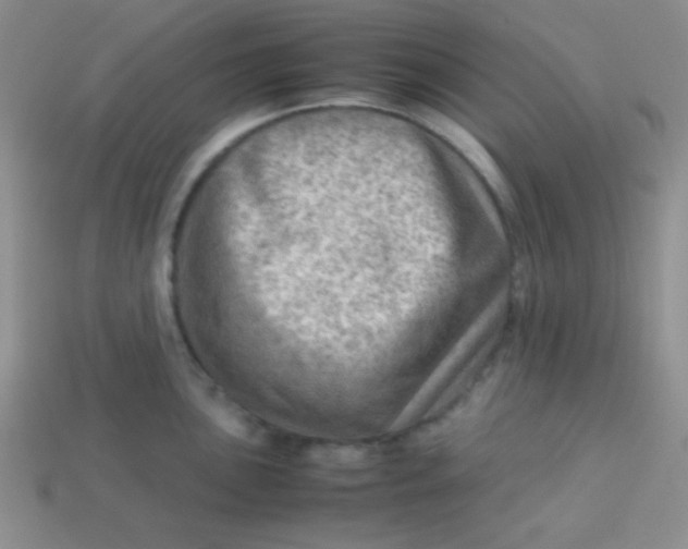 X0000113591051200910091455