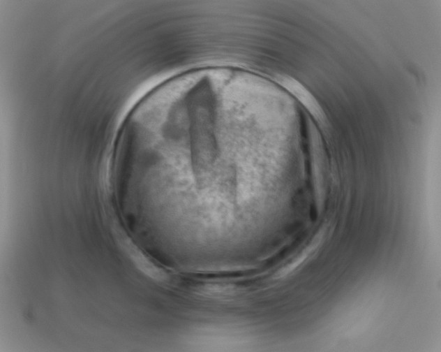 X0000113591052200910091455