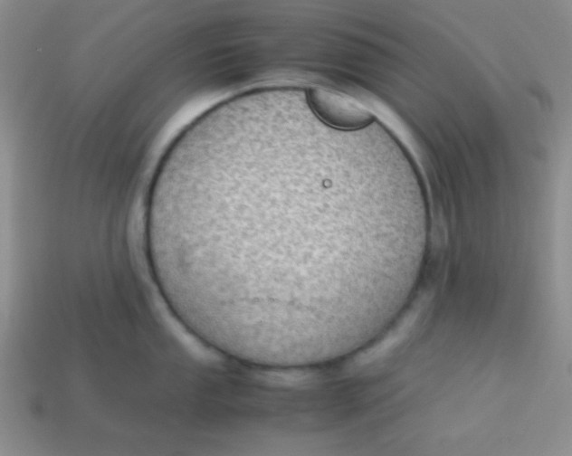 X0000113591053200910091455