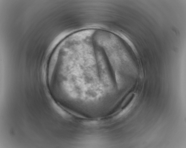 X0000113591054200910091455