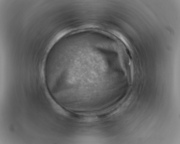 X0000113591055200910091455