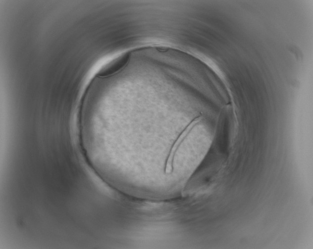 X0000113591056200910091456