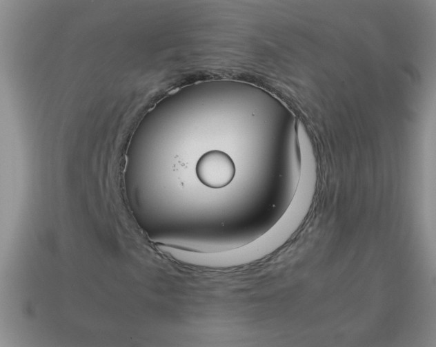 X0000113591057200910091455