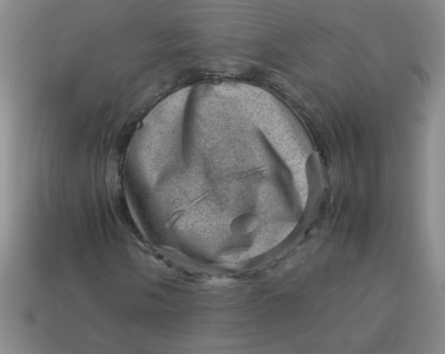 X0000113591058200910091455