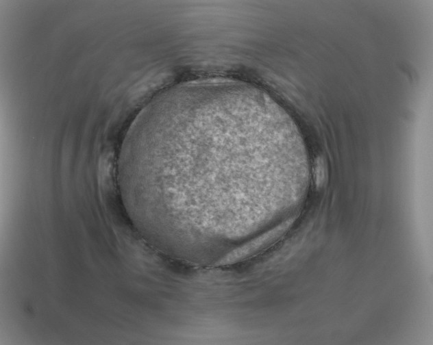 X0000113591059200910091455