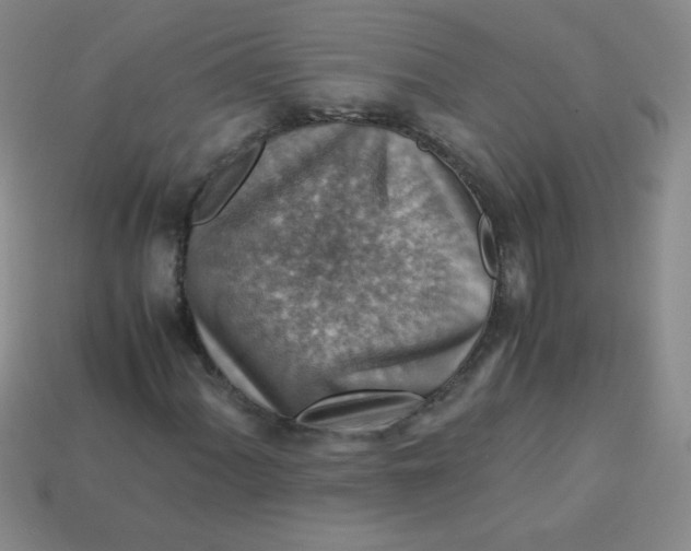 X0000113591060200910091455