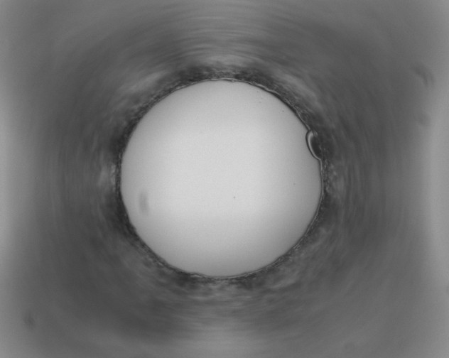 X0000113591061200910091455