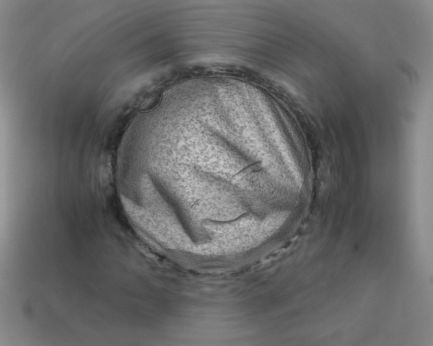 X0000113591062200910091455