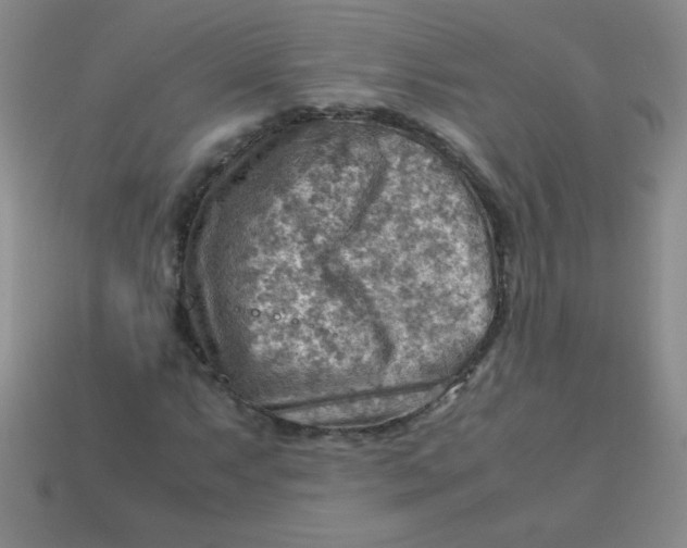 X0000113591063200910091455