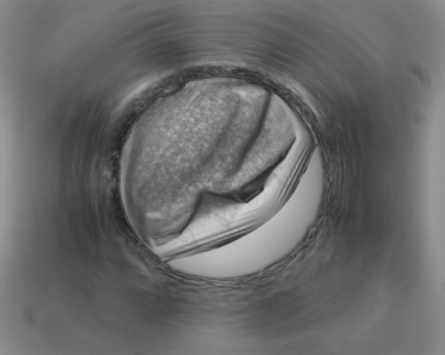 X0000113591064200910091455