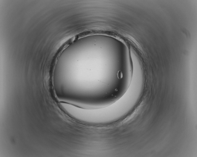 X0000113591065200910091455