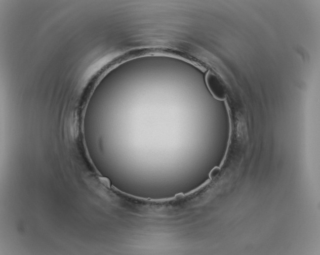 X0000113591069200910091455