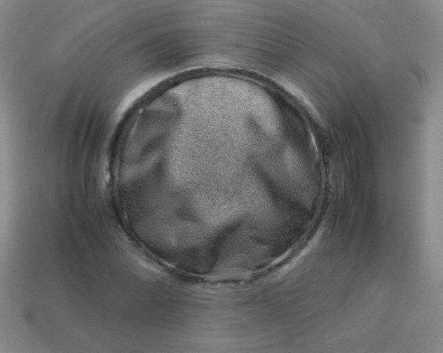 X0000113591070200910091455