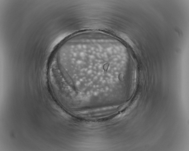 X0000113591071200910091455