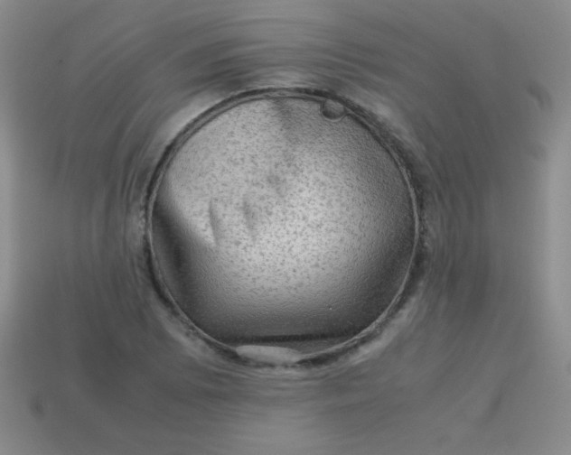 X0000113591073200910091455